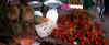 fruit.jpg (7398 octets)
