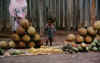 ontheroad.jpg (36823 octets)